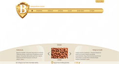 Desktop Screenshot of basarangida.com